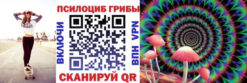Псилоцибиновые грибы Psilocybe Дербент