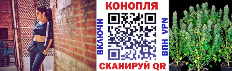 Канабис MAZAR  Дербент 